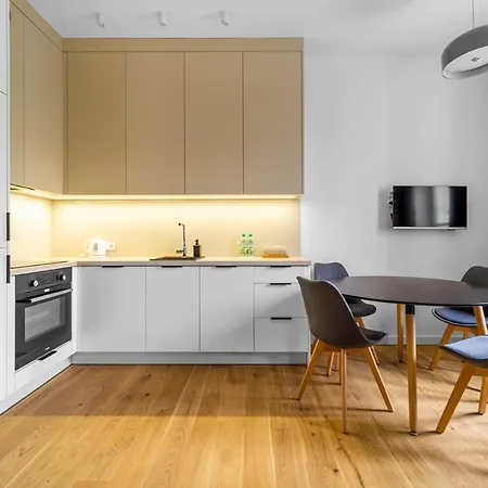 Piekna Grey Appartement